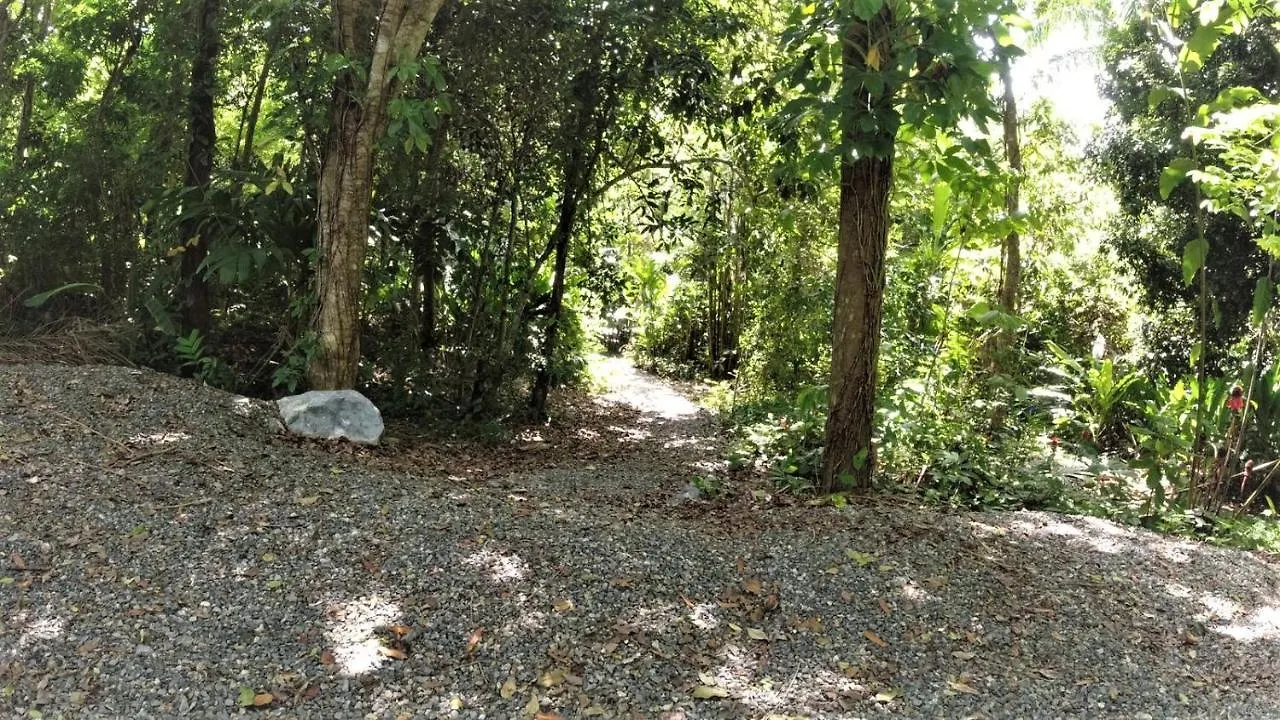 Campsite Ruth'S Jungle Hut Hotel San German