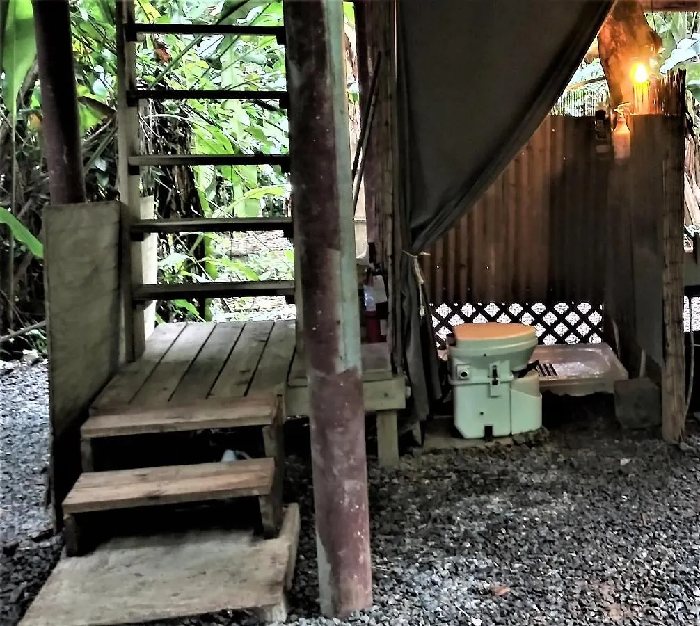 Ruth'S Jungle Hut Hotel San German